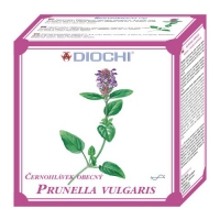 Prunella vulgaris - bylinný čaj